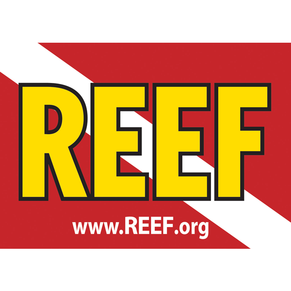 Reef Environmental Education Foundation