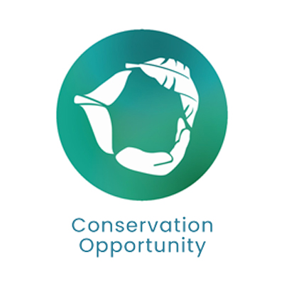 Conservation Opportunity