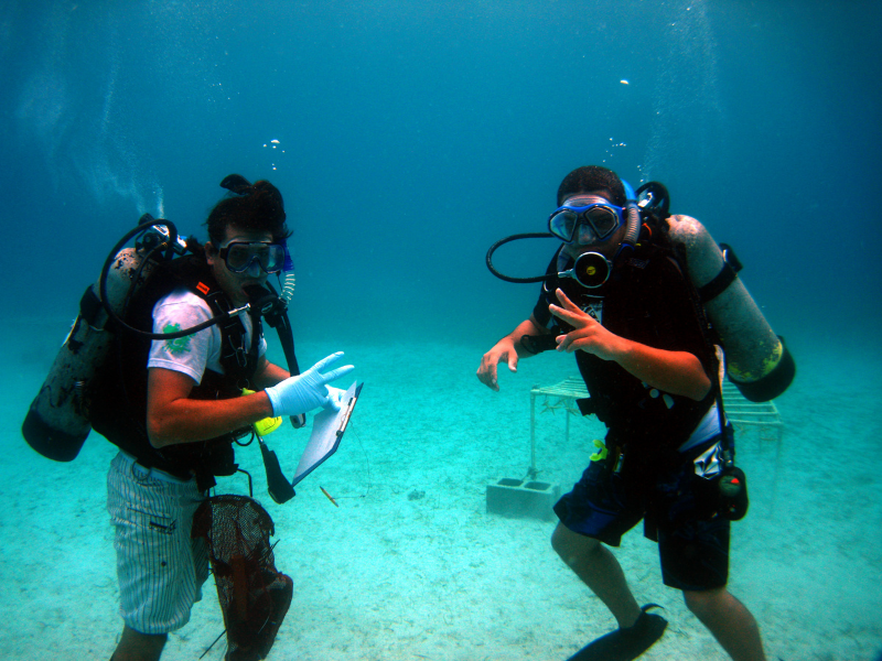 voluntariado-beneficios